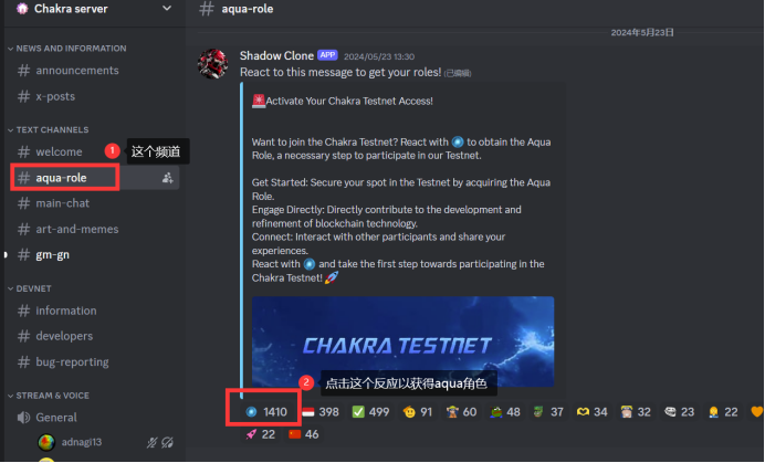 ChakraChain Discord 获得角色步骤